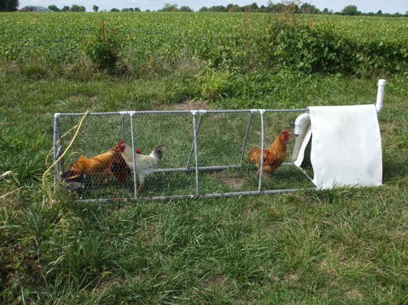 PVC Chicken Tractor Cultivator